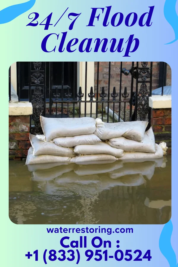 24/7 Flood Cleanup in Jenkinsville, SC