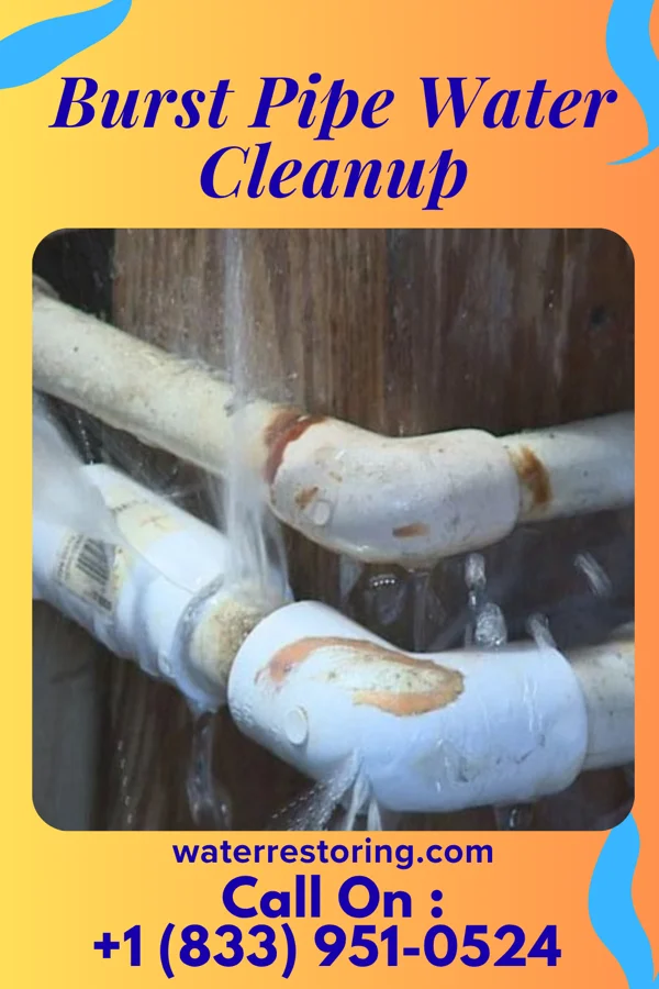 Burst Pipe Water Cleanup in Jenkinsville, SC