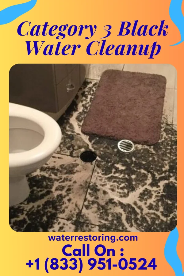 Category 3 Black Water Cleanup in Jenkinsville, SC
