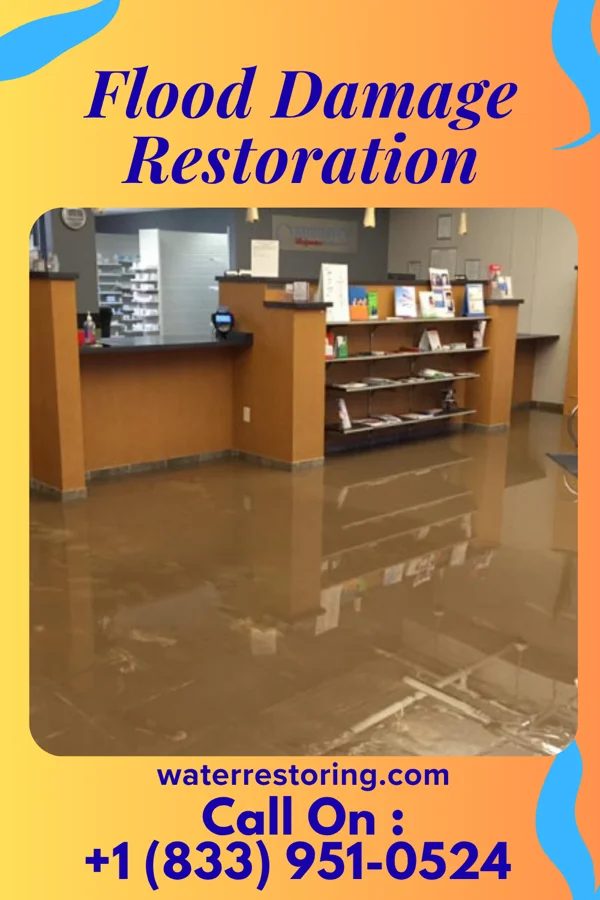 Flood Damage Restoration in Jenkinsville, SC