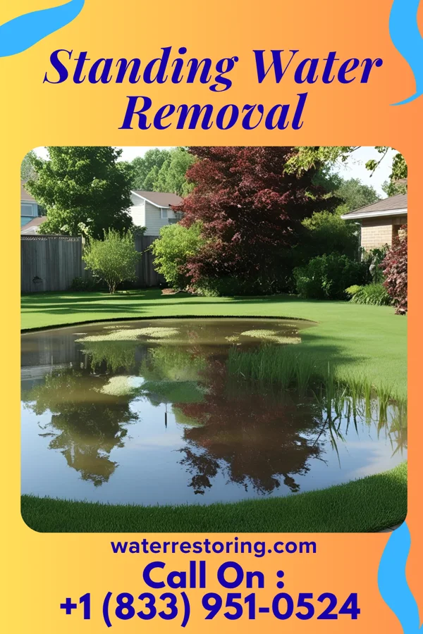 Standing Water Removal in Jenkinsville, SC